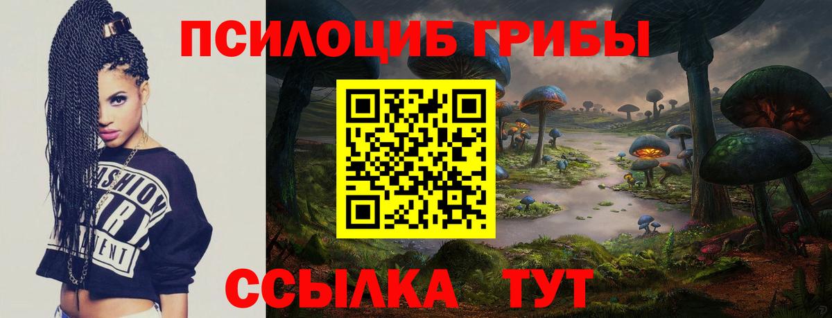 Галлюциногенные грибы Psilocybine cubensis  Вход с VPN  Шахты  Псилоцибиновые грибы мухоморы 