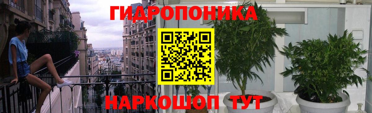 Бошки марихуана OG Kush Шахты